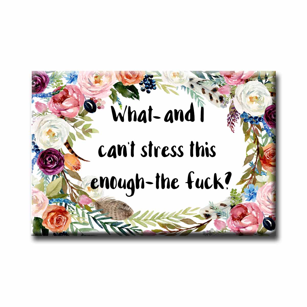 What And I can't Stress This Enough the Fuck? Magnet NSFW