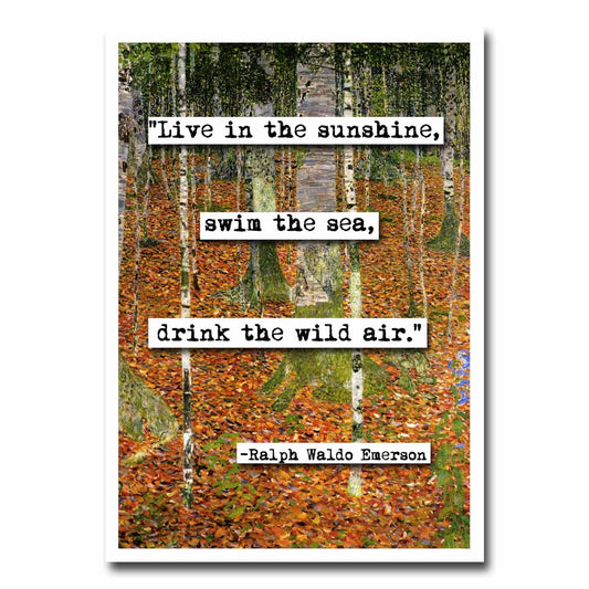 Ralph Waldo Emerson Live In The Sunshine Quote Blank Greeting Card