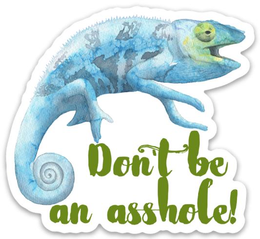 Don't Be an Asshole Vinyl Sticker
