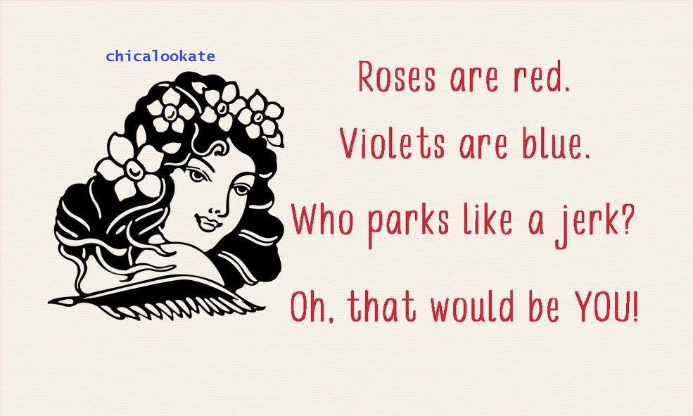 Learn to Park Parking Tickets