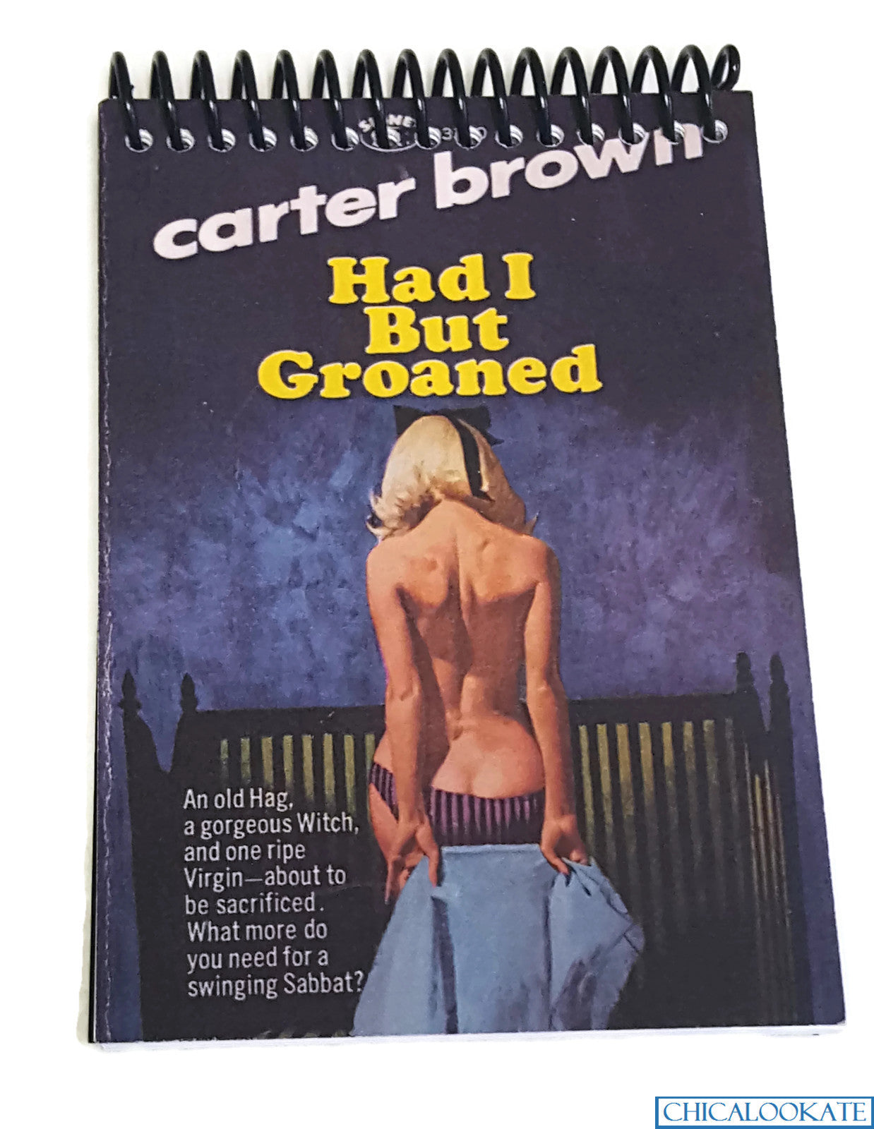 Had I But Groaned Cover Blank 4x6 Notepad