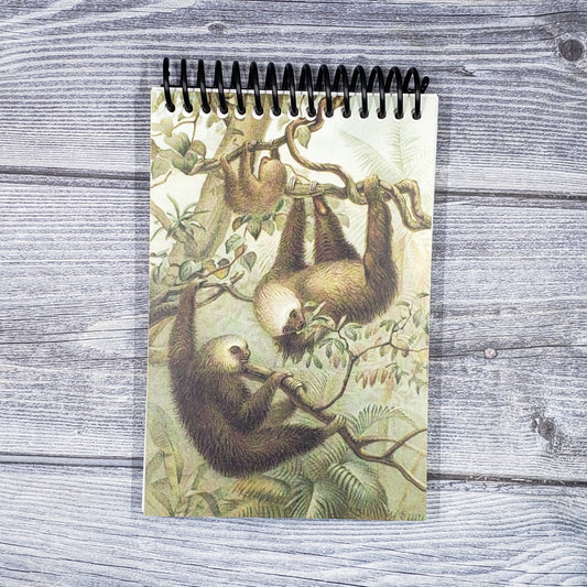 Sloths! Blank 4x6 Notepad