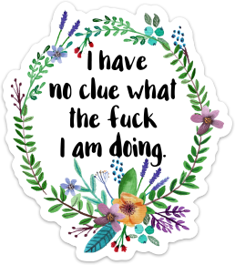 No Clue What Vinyl Sticker NSFW