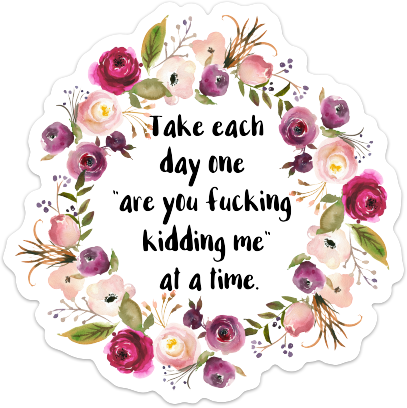 Take Each Day One Are You Fucking Kidding Me Vinyl Sticker NSFW