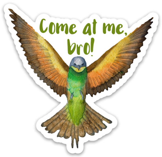 Come At Me Bro Vinyl Sticker