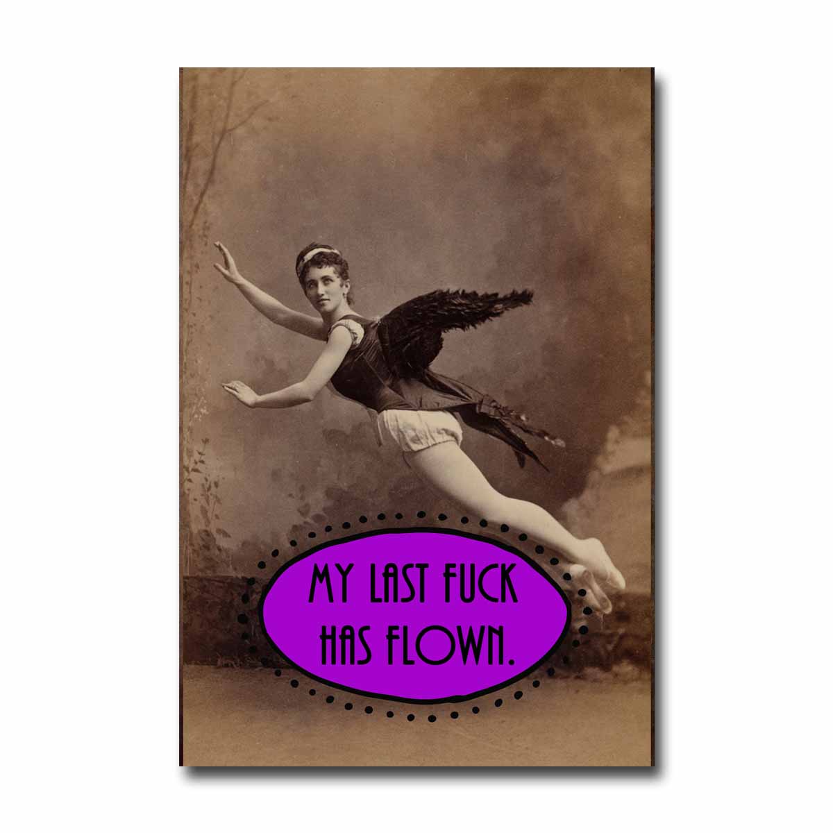 Last Fuck Has FLown NSFW Postcard