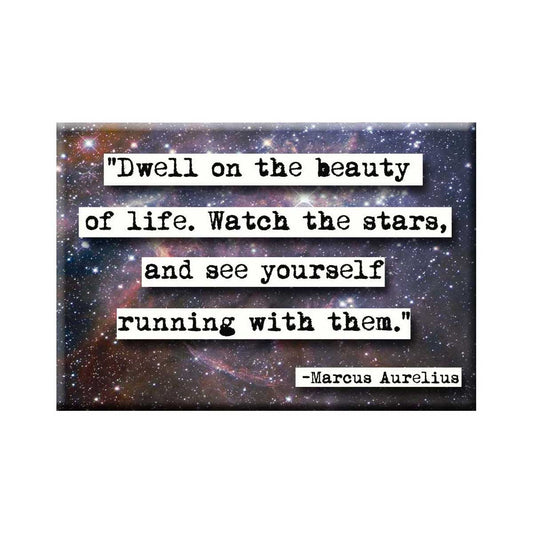 Marcus Aurelius Quote Magnet (no.276)