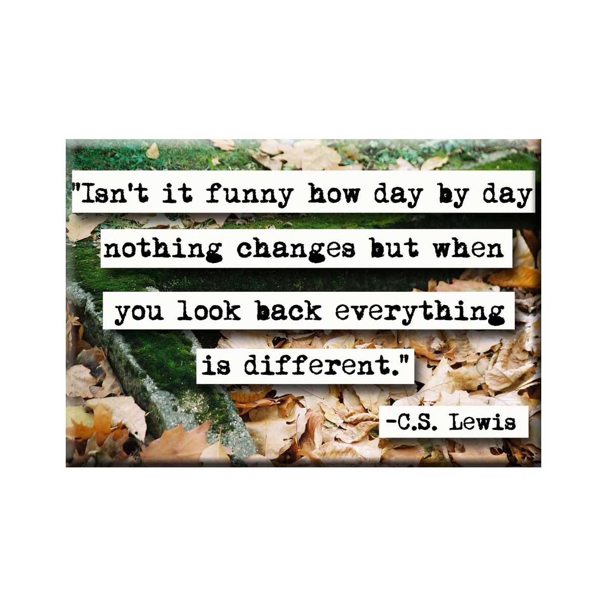 C.S. Lewis Changes Quote Magnet
