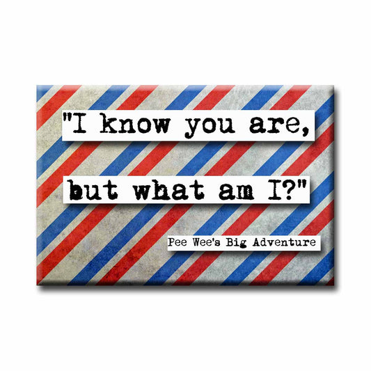 Pee Wee's Big Adventure I Know You Are But What am I Quote Magnet