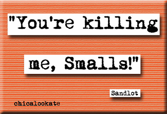 Sandlot Magnet  (no.794)