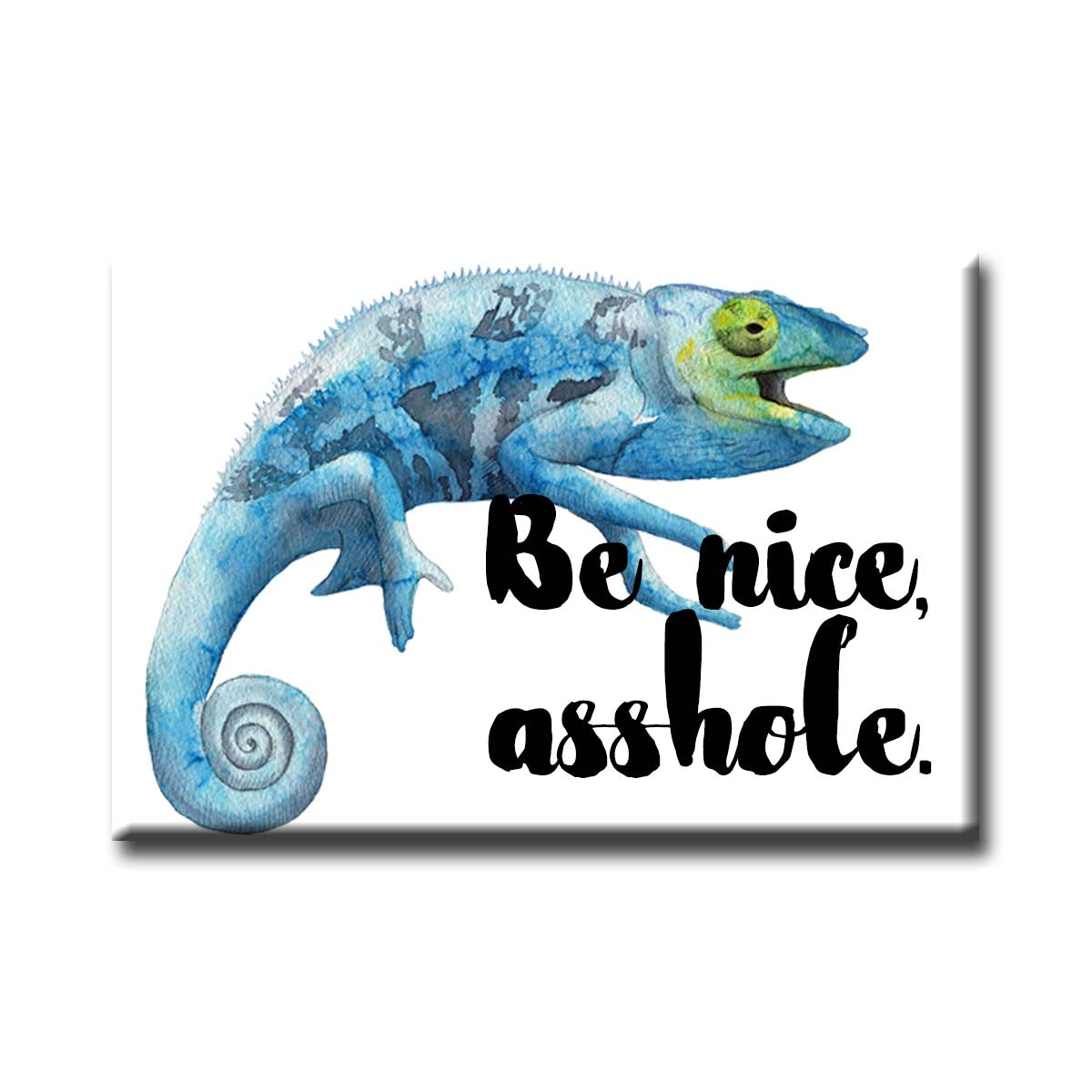 NSFW Be Nice Refrigerator Magnet (RM918)