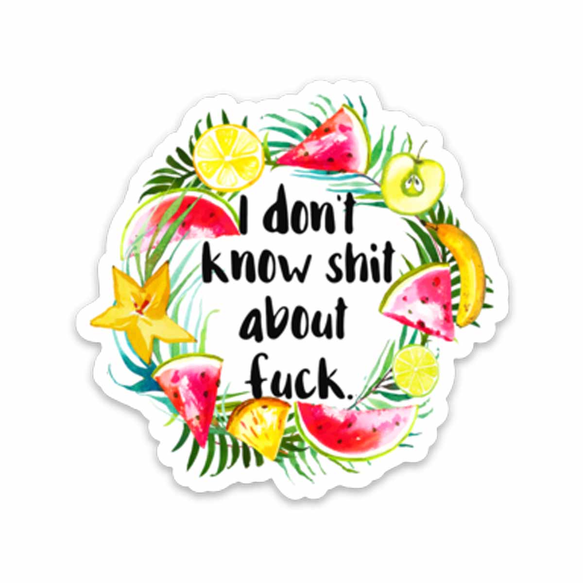 Don't Know Shit Vinyl Sticker NSFW