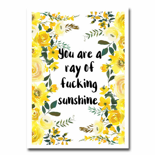 Ray of Fucking Sunshine Blank Greeting Card NSFW