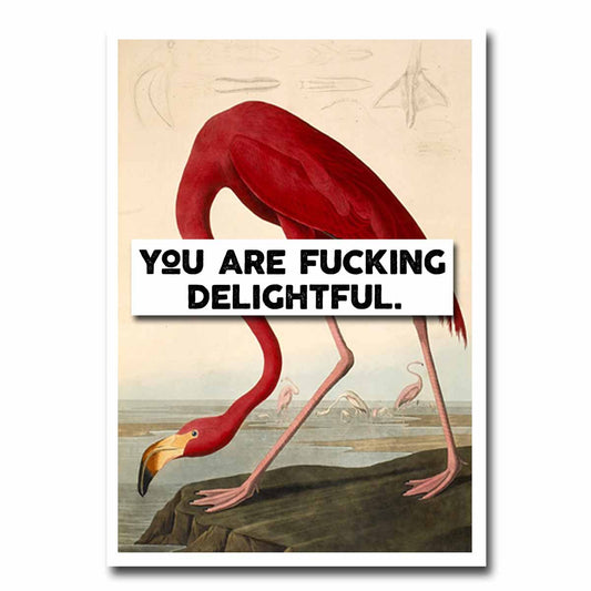 You Are Fucking Delightful Blank Greeting Card NSFW