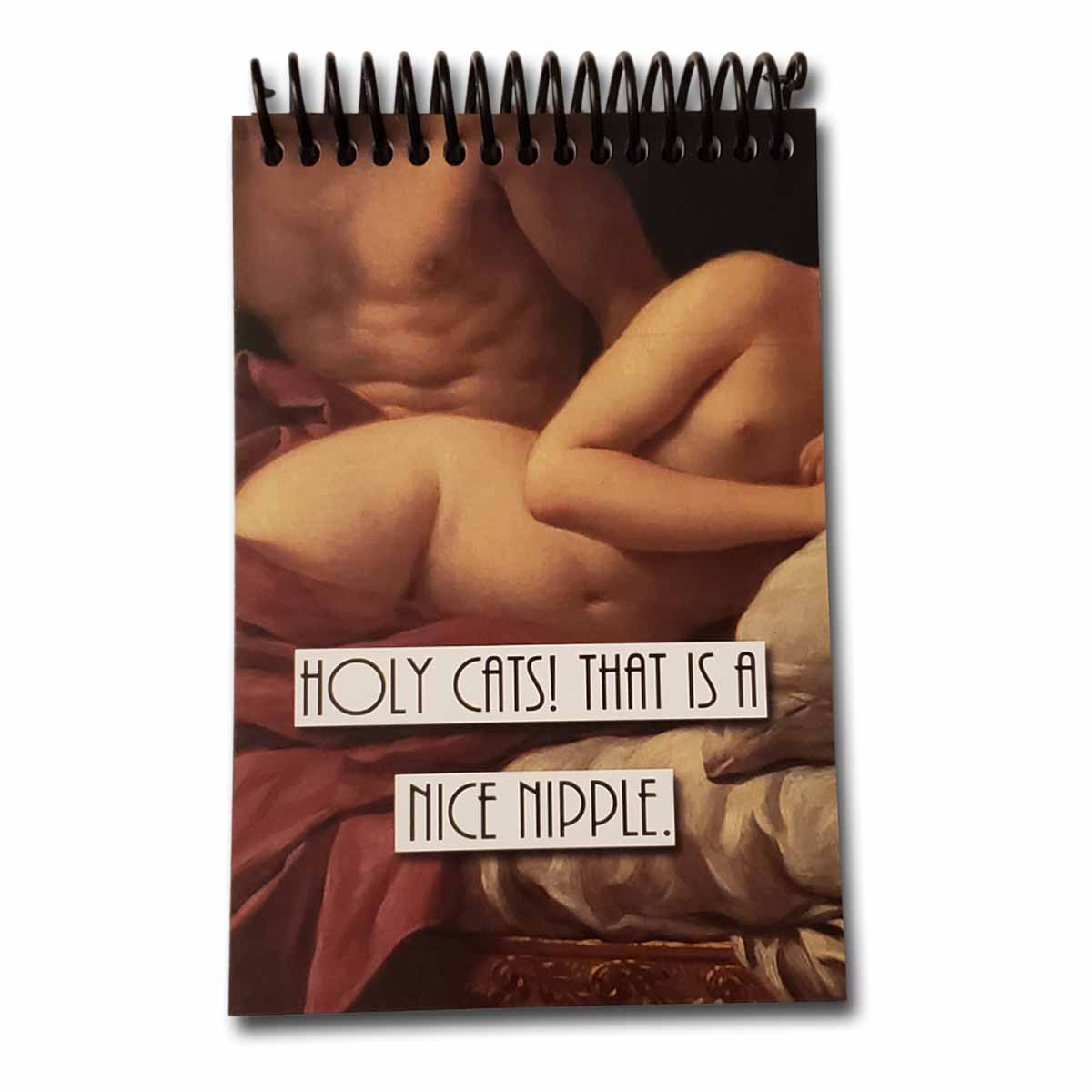 Heaving Bosoms Holy Cats Blank 4x6 Notepad