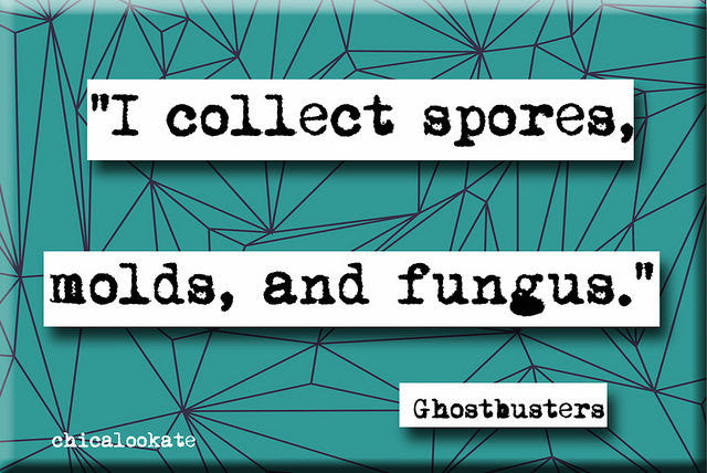 Ghostbusters Spores Molds and Fungus Movie Quote Magnet (no.740)