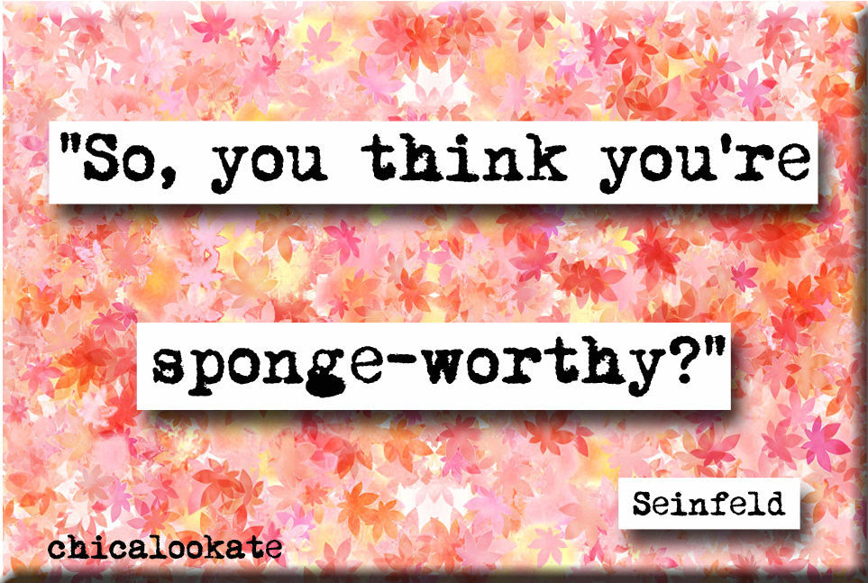Seinfeld Sponge Worthy Quote Refrigerator Magnet (no.274)