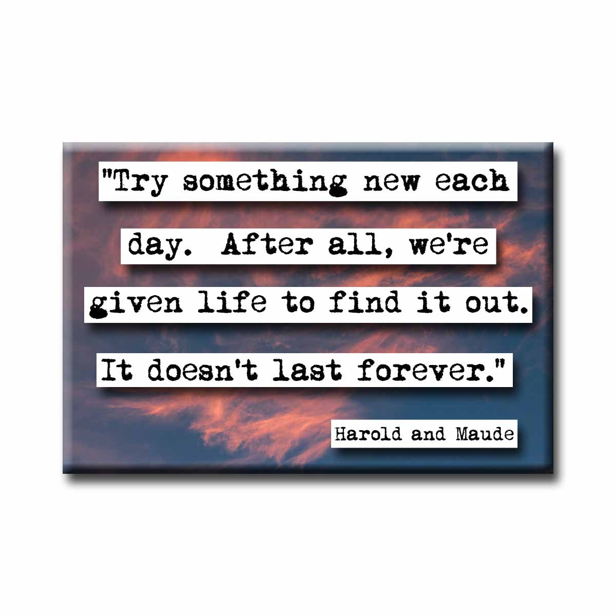 Harold and Maude Try New Things Quote Magnet