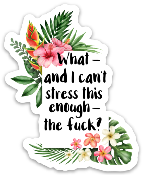 Can't Stress This Enough Vinyl Sticker NSFW