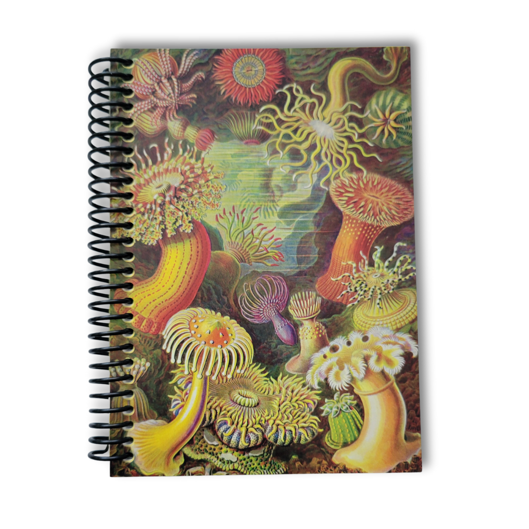 Under The Sea 5x7 Blank Notebook