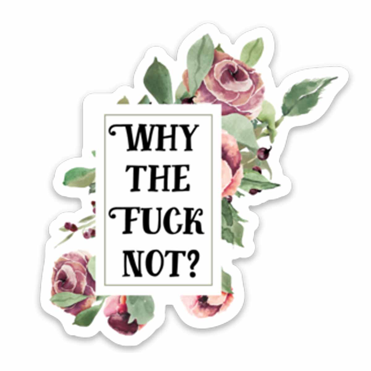 Why Not Sticker Why the Fuck Not Vinyl Sticker NSFW – ChicalooKate