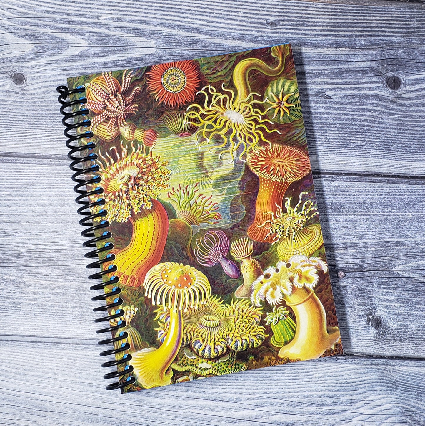 Under The Sea 5x7 Blank Notebook