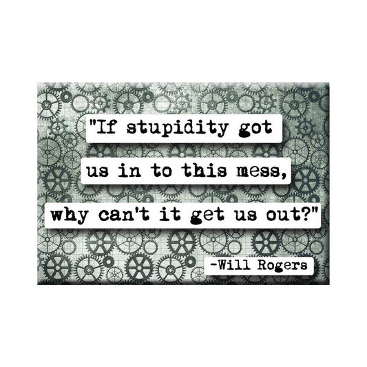 If Stupidity Quote Magnet