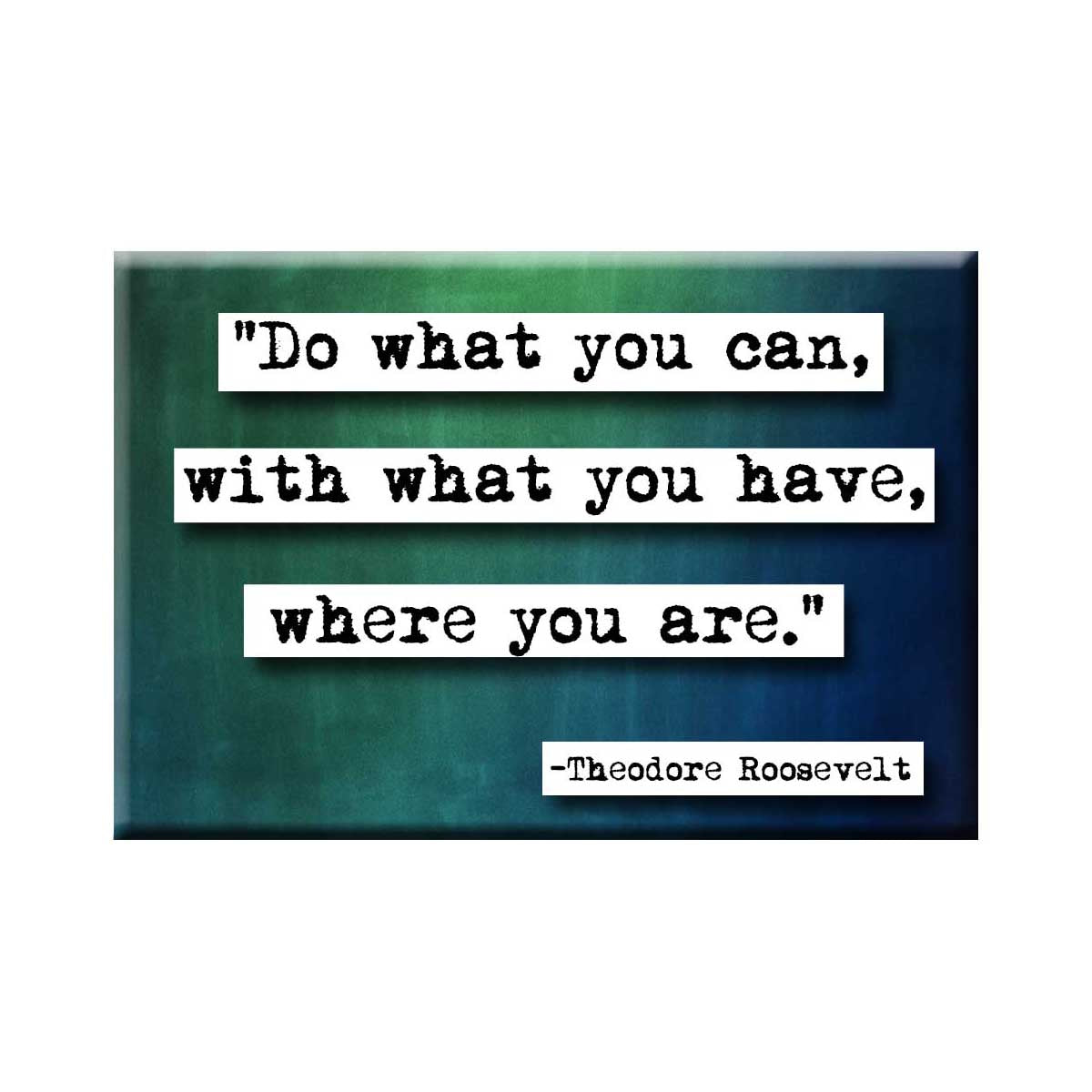 Theodore Roosevelt Do What You Can quote Magnet (no.242)