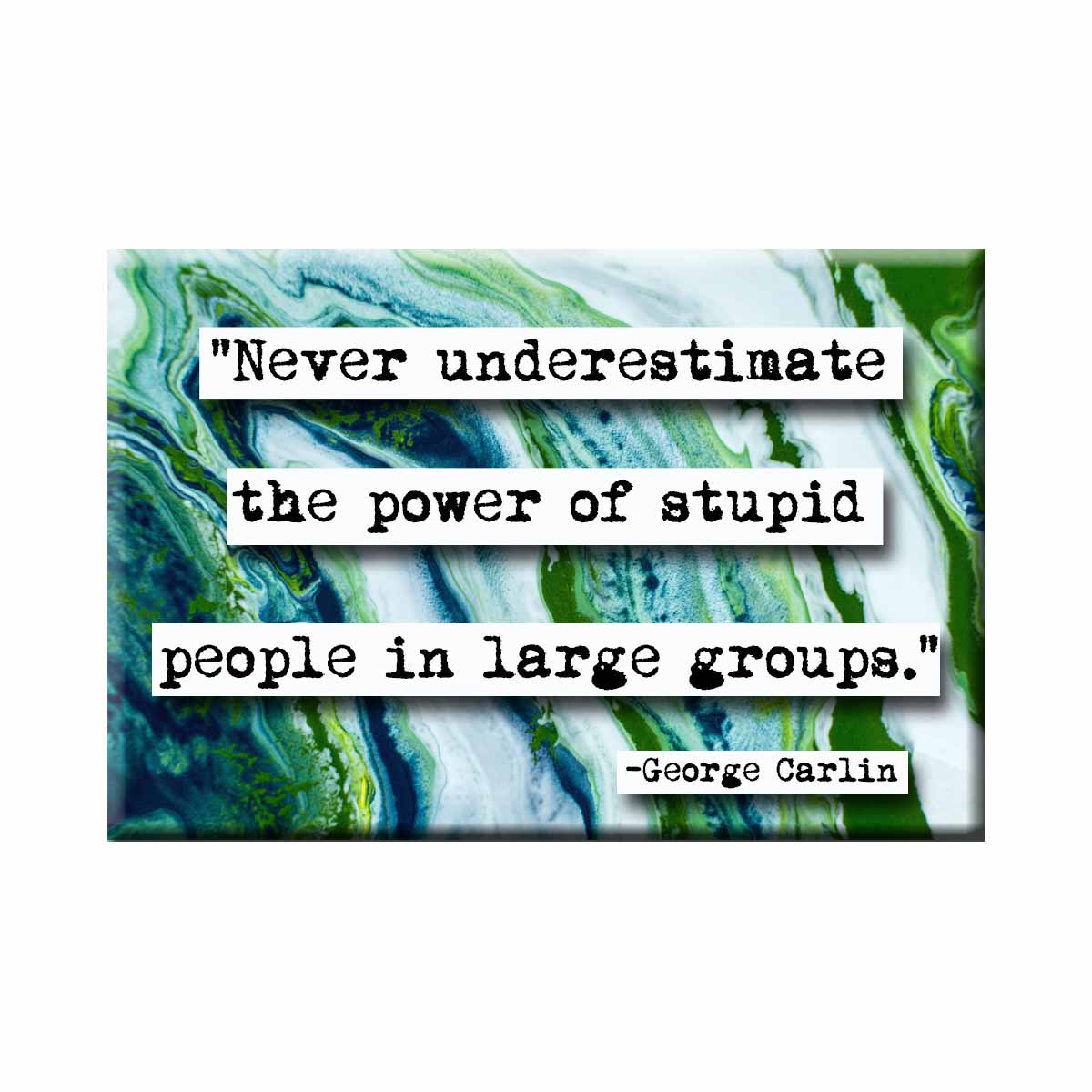 George Carlin Stupid People Quote Magnet