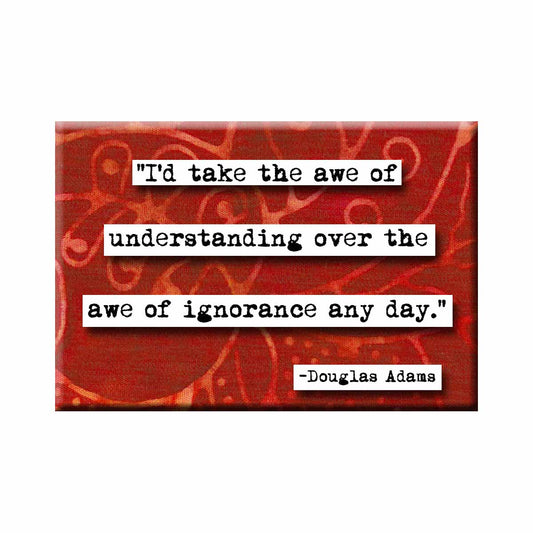 Douglas Adams Awe of Understanding Quote Magnet (no.771)