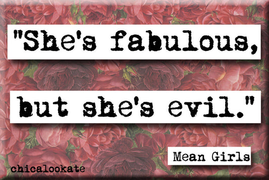 Mean Girls Fabulous But Evil Magnet (no.467)