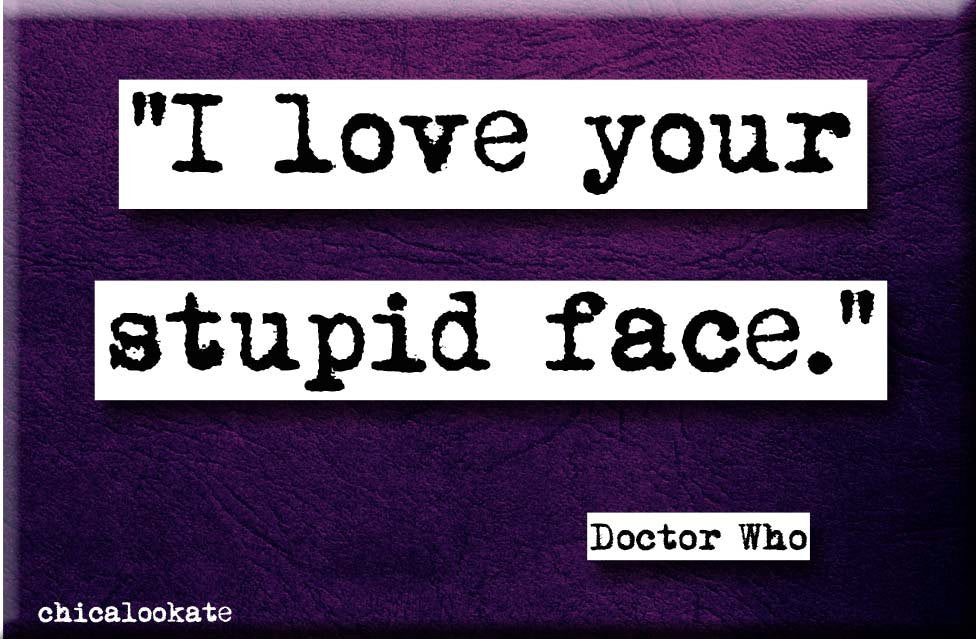 Doctor Who Love Your Stupid Face Quote Magnet (no.661)