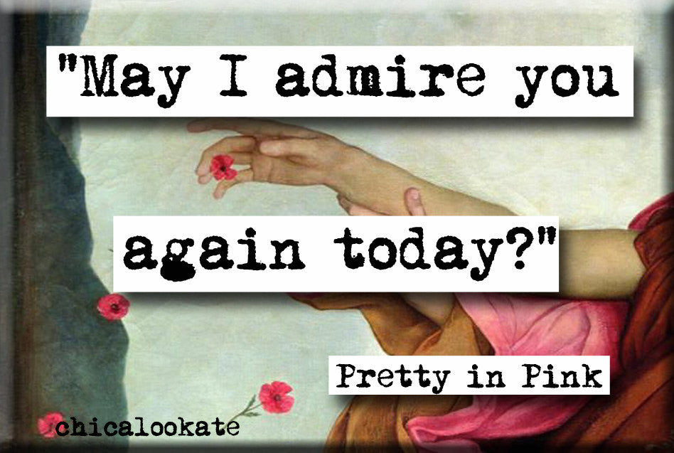 Pretty in Pink May I Admire Quote Magnet (no.699)