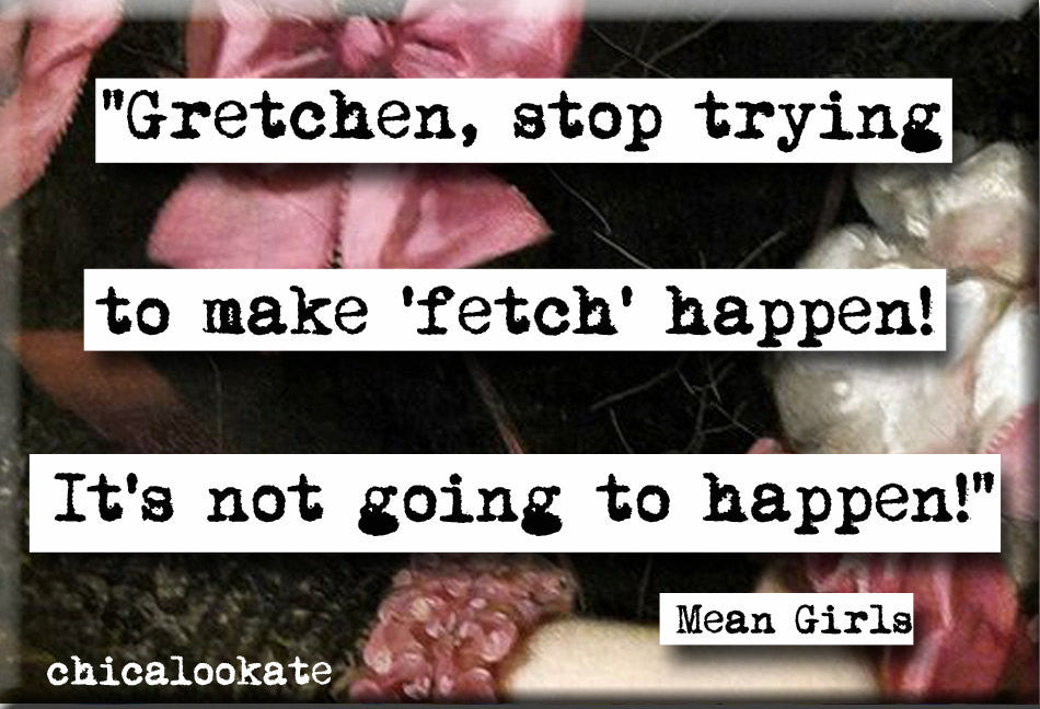 Mean Girls Fetch Quote Magnet (no.706)