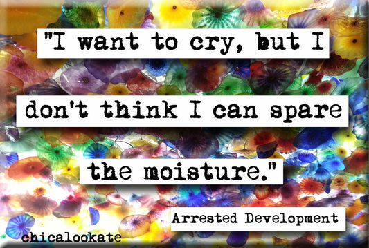 Arrested Development Want to Cry Quote Magnet (no.708)