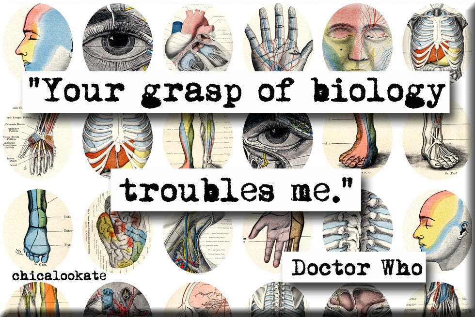 Doctor Who Your Grasp of Biology Quote Refrigerator Magnet (no.731)