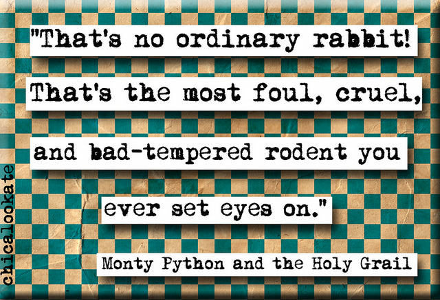 Monty Python and the Holy Grail No Ordinary Rabbit Quote Refrigerator Magnet (no.750)
