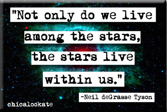 Neil deGrasse Tyson Among the Stars Quote Refrigerator Magnet (no.772)
