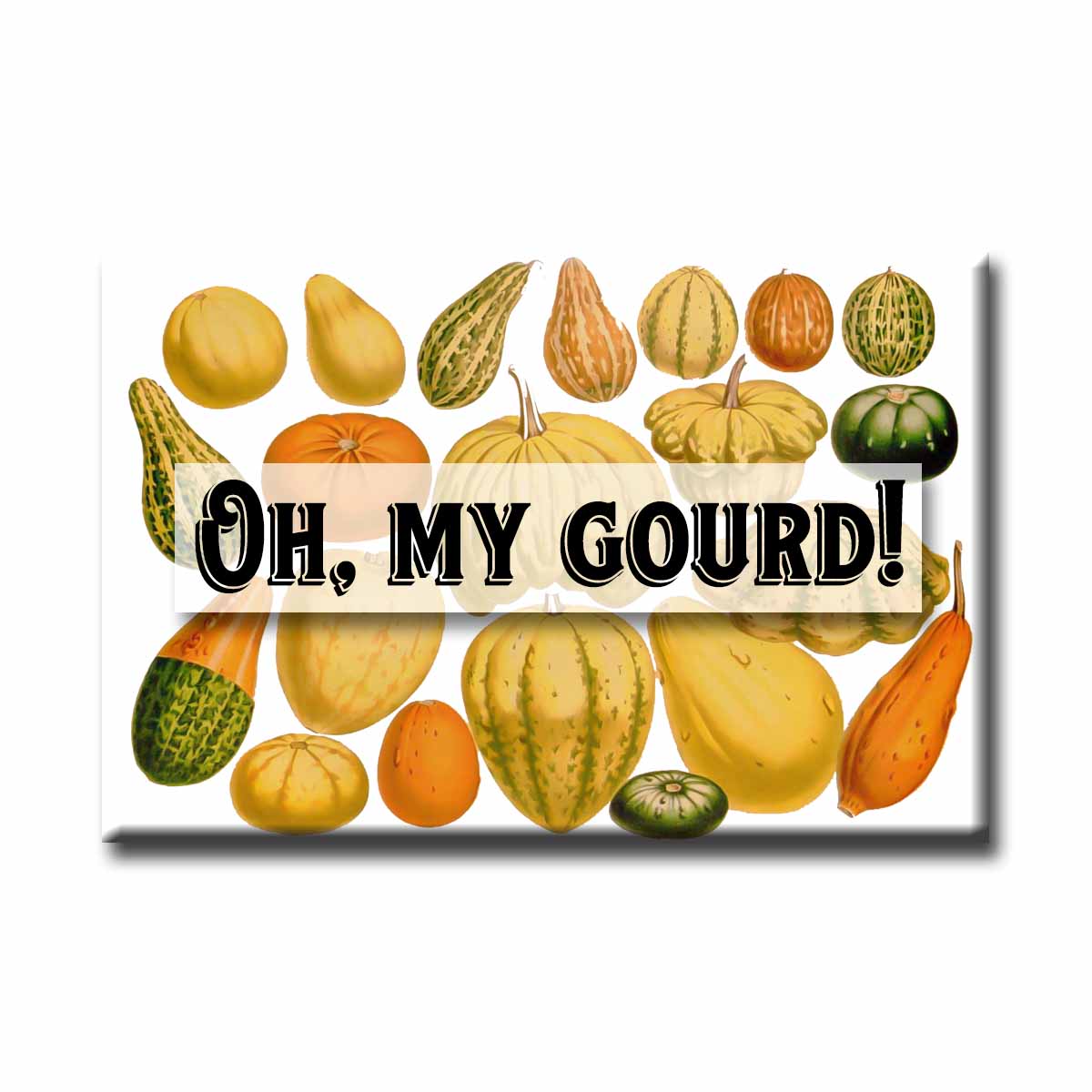 Oh My Gourd Vintage Illustration Refrigerator Magnet
