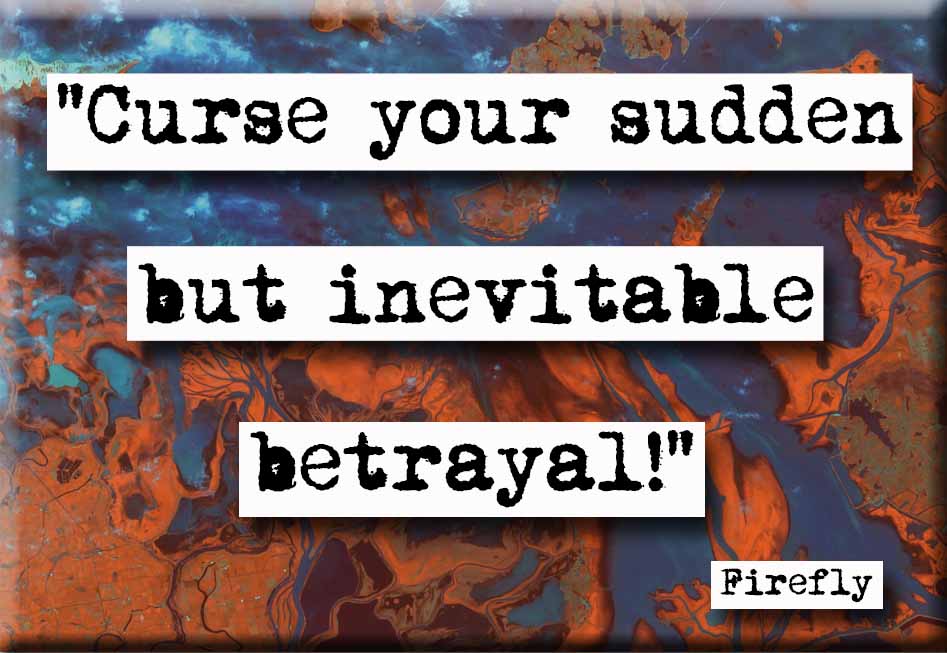 Firefly Curse Quote Magnet (no.404)