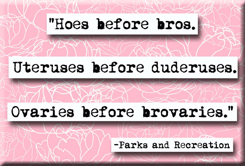 Parks and Recreation Leslie Knope Hoes Before Bros Quote Magnet (no.620)