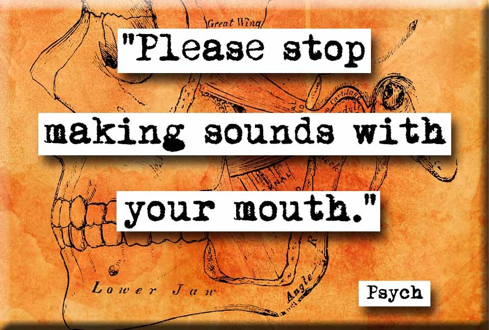 Psych Please Stop Making Sounds Refrigerator Magnet (no.651)