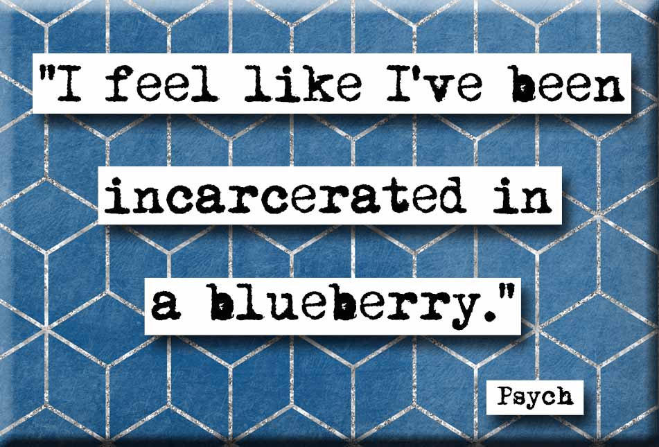 Psych Incarcerated in a Blueberry Refrigerator Magnet (no.653)